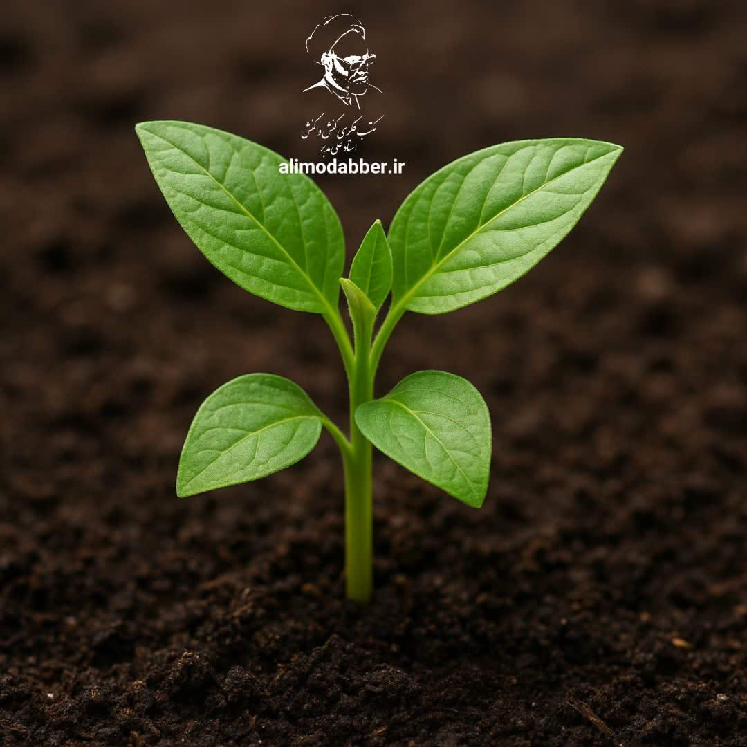 رشد انسان پس از خاتمیت پیامبر (ص) - مکتب فکری کنش واکنش