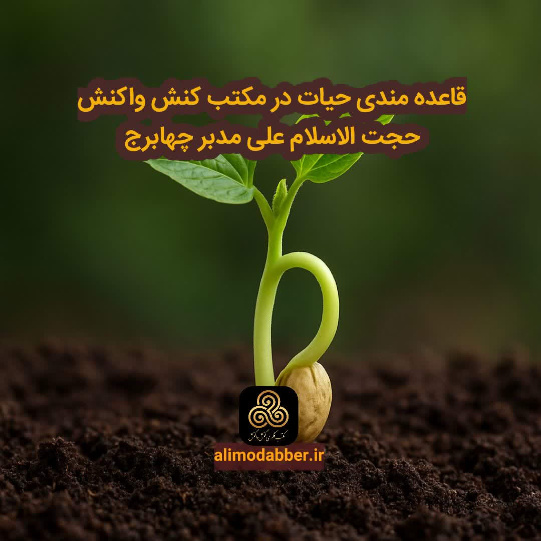 قاعده مند بودن زندگی انسان مطابق مکتب کنش واکنش - علی مدبر